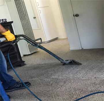 Best Carpet Cleaning Wahroonga
